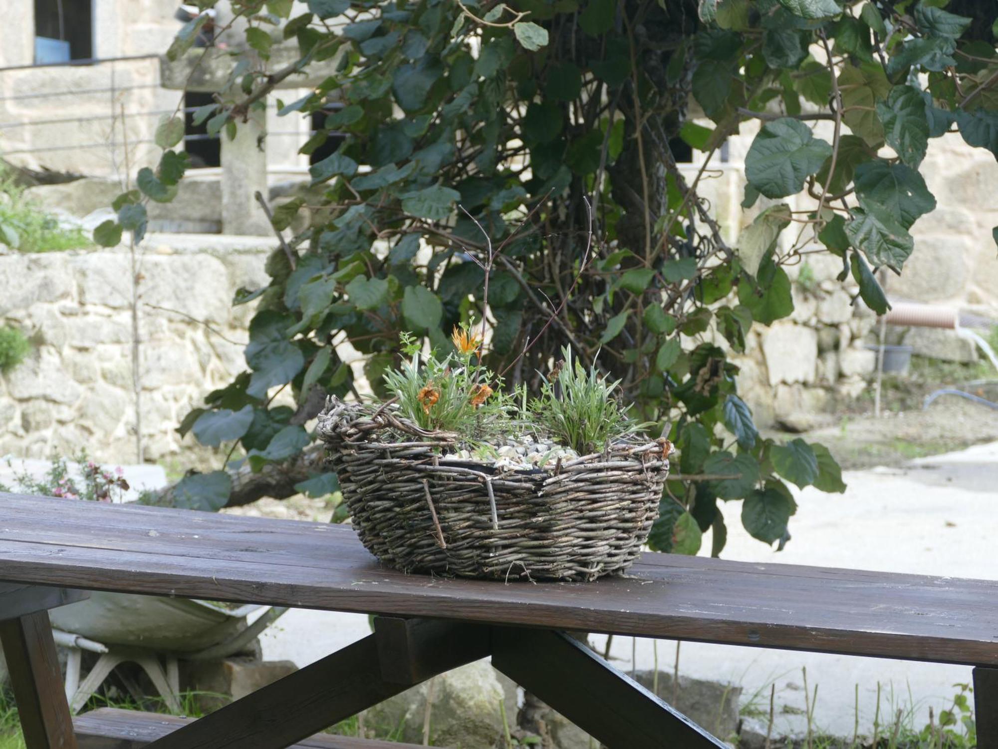 Casita A Estrenar En Finca Con Rio Proxima A Tui, Gondomar Y Portugal. Экстерьер фото