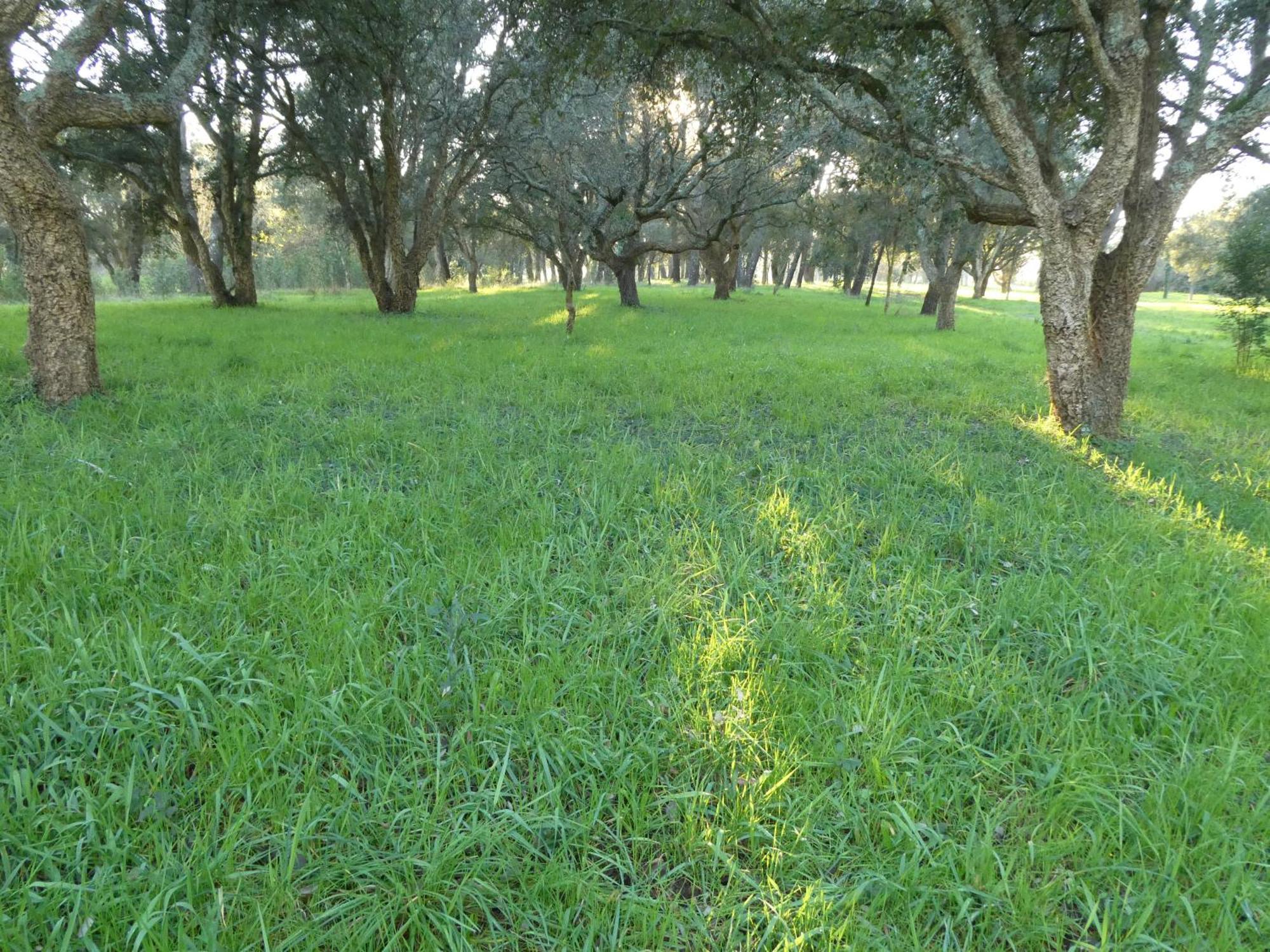 Casita A Estrenar En Finca Con Rio Proxima A Tui, Gondomar Y Portugal. Экстерьер фото